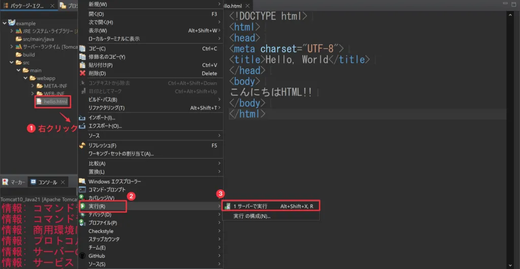 execute_html1-1024x531