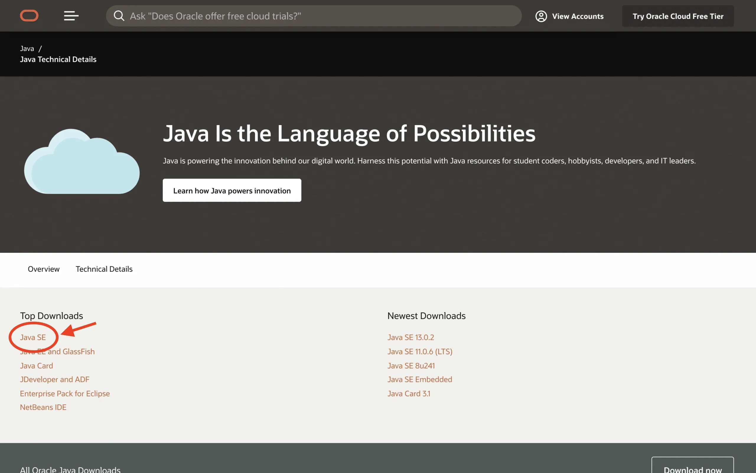 oracleJDK_DL2