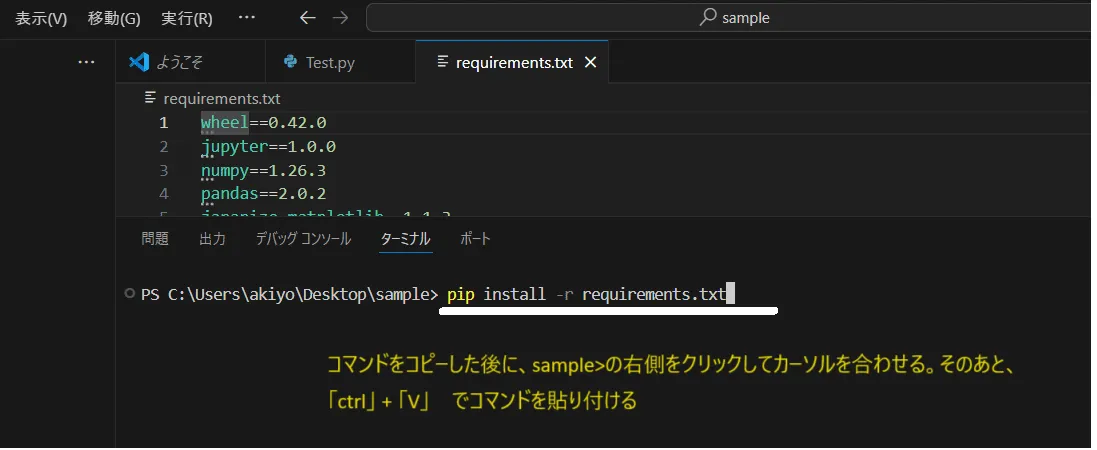 pipinstall